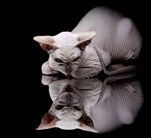 欧洲杯预选赛首轮比赛火热展开，胜负难测，欧洲杯杯预选赛