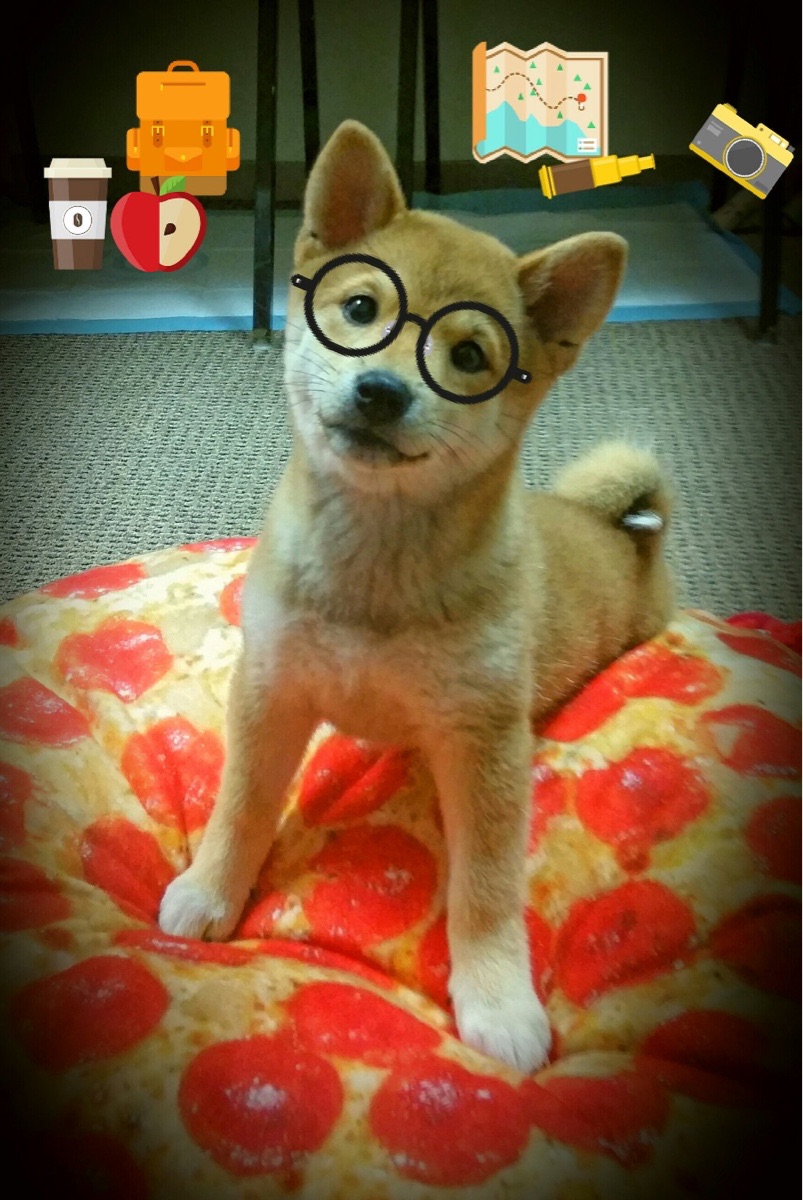 球员在比赛中展现出了顽强的战斗精神，球员们在赛场上展现