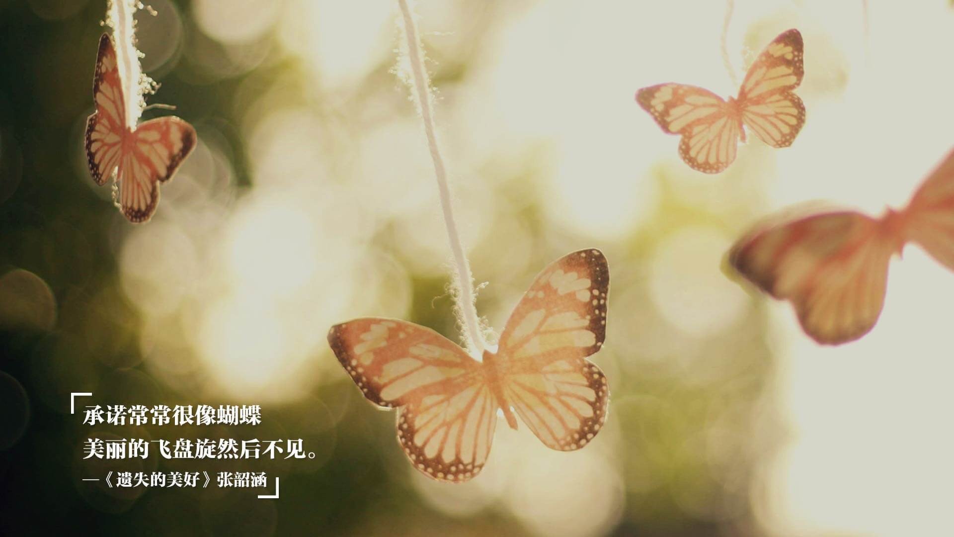 联盟是否应设立球员海外志愿服务基金