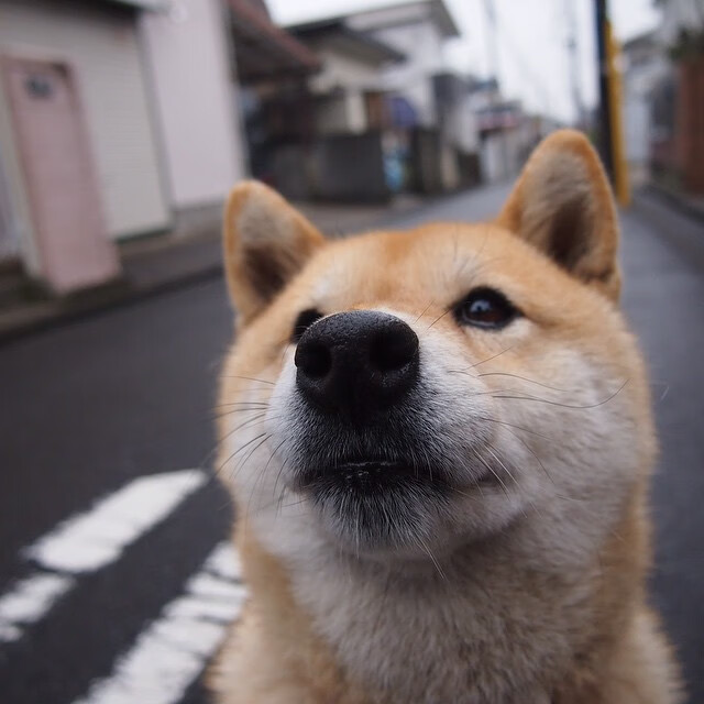 贾斯丁砍下高分，江苏苏宁实现大逆转，苏宁 贾森
