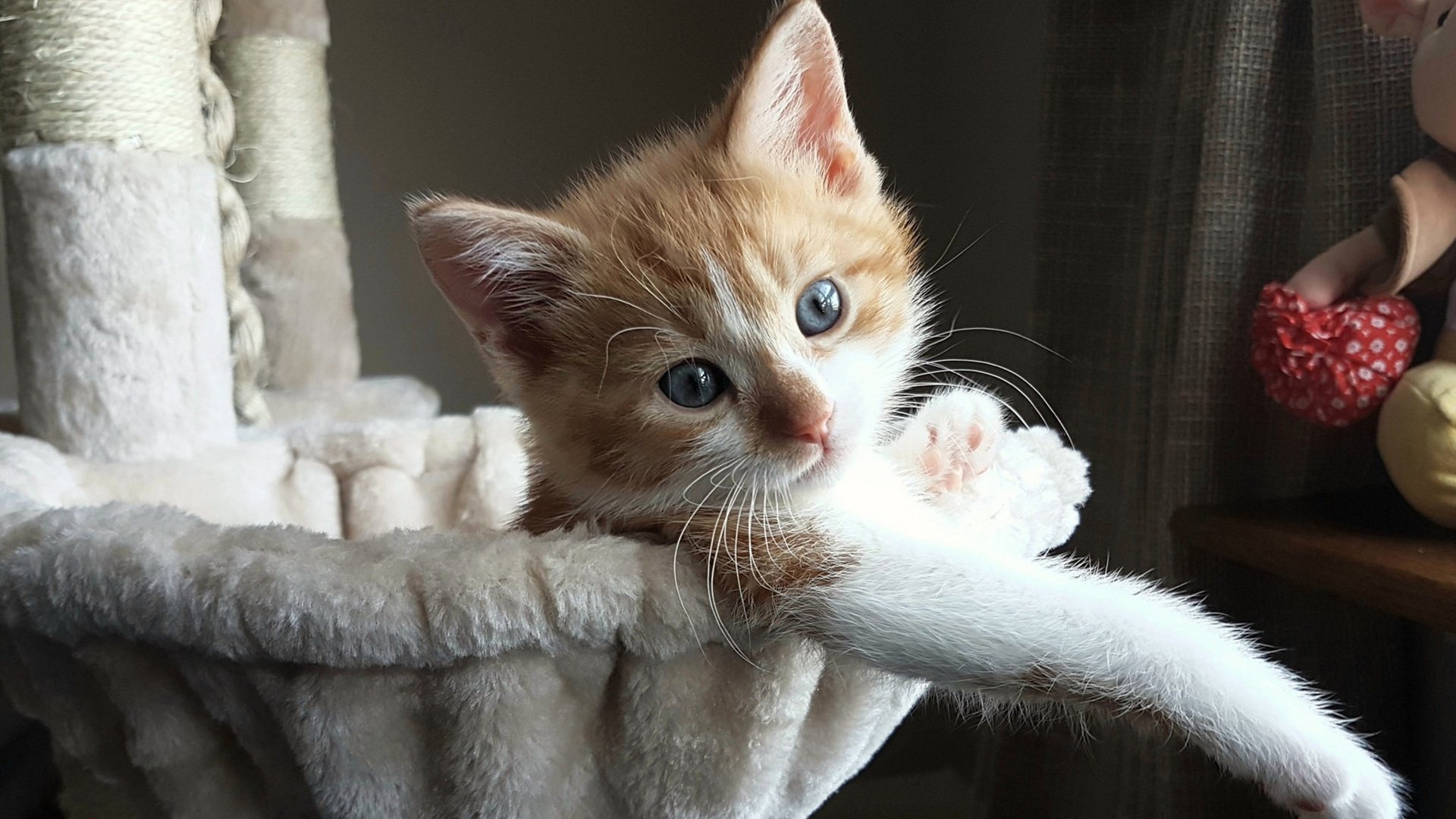 黎巴嫩国家队集训备战欧洲杯预选赛，黎巴嫩球队怎么样