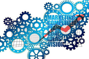 中国篮球职业联赛市场营销策略分析，篮球的市场营销