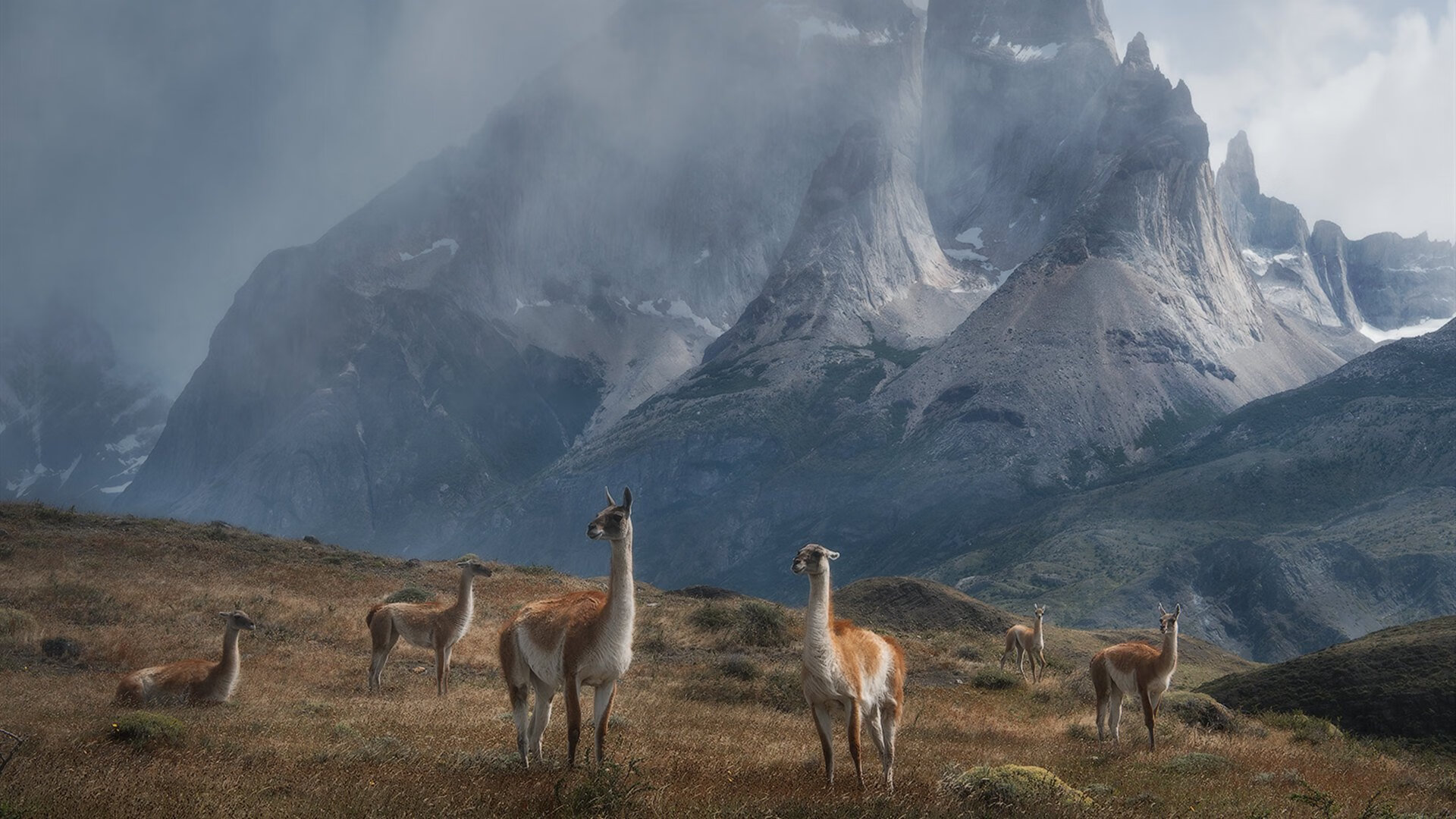 德甲防守战术调整对中场控制力的影响分析,德甲中场球员