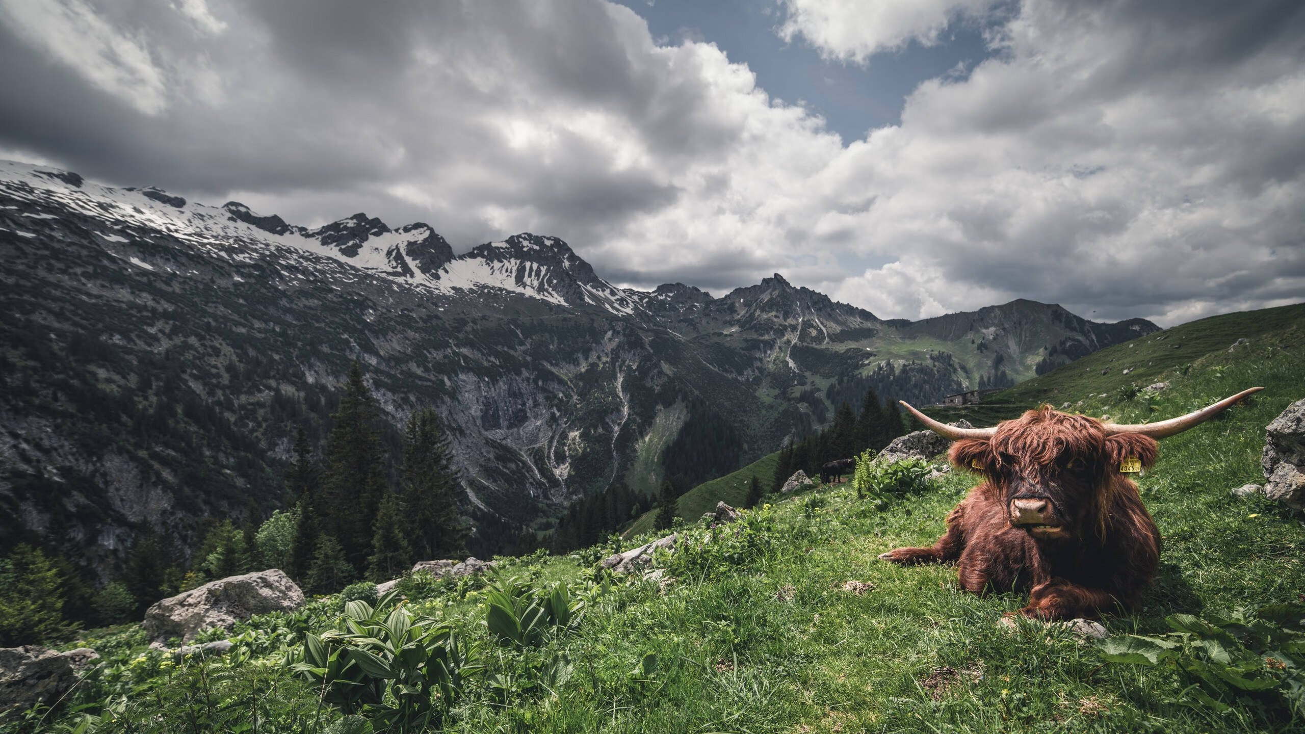篮球专项技能课程开发与教学创新实践,篮球教学创新方法