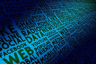 青少年体育兴趣培养机制及社会支持体系研究，实施青少年体育活动促进计划培育青少年体育爱好