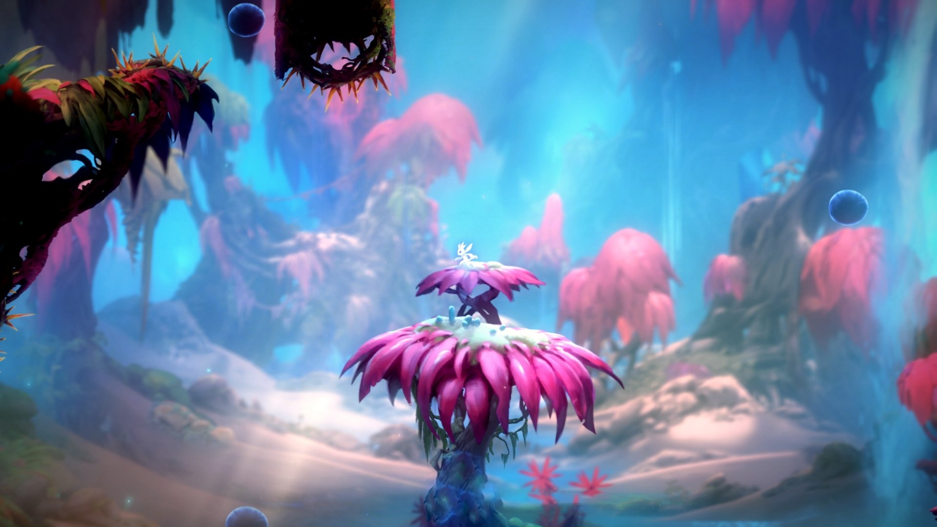 凯瑟琳·伯科夫完美入水赢得喝彩,凯瑟琳·伯纳德