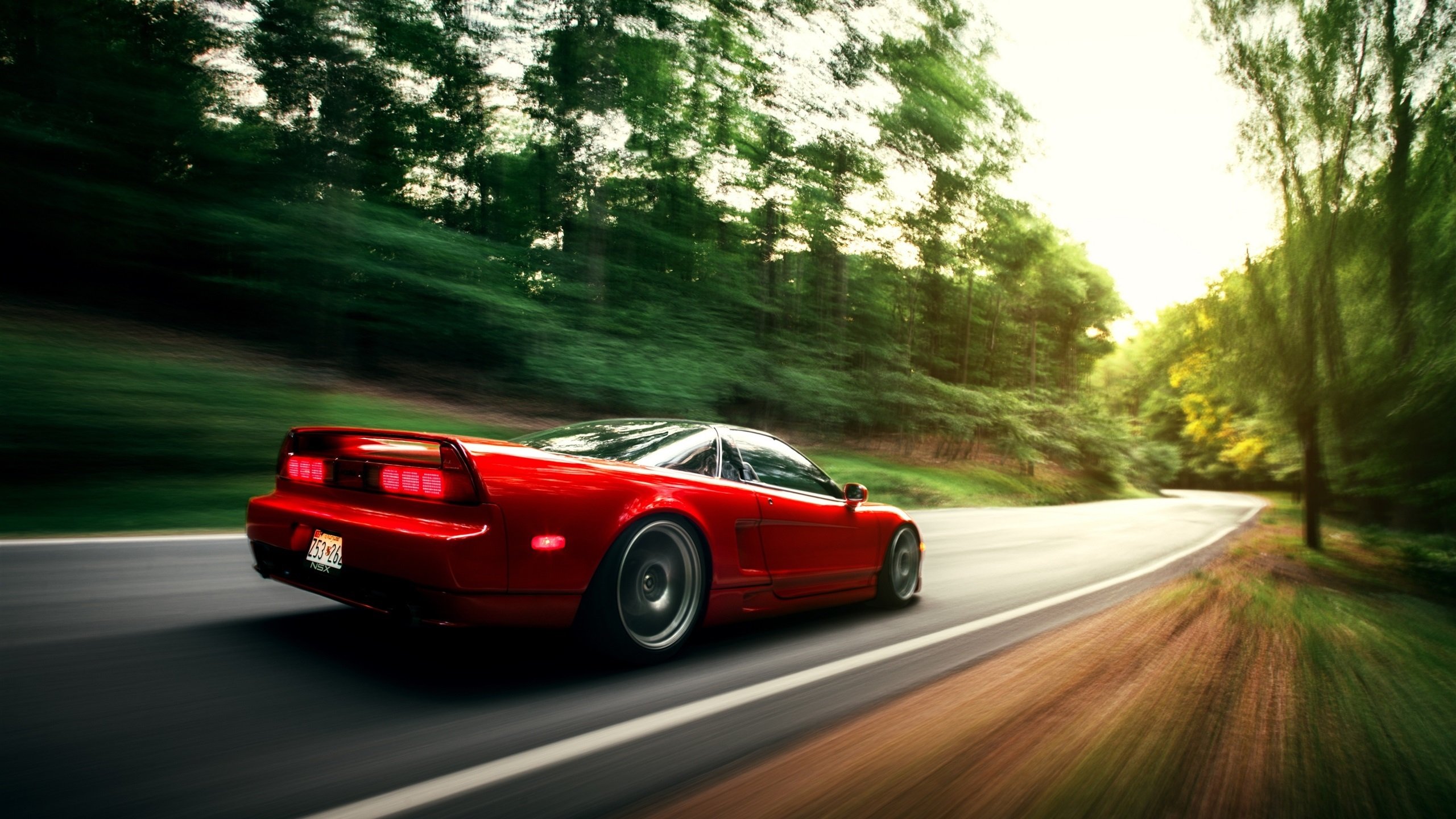 南非女队中距离自由泳显底蕴,南非女子冠军赛