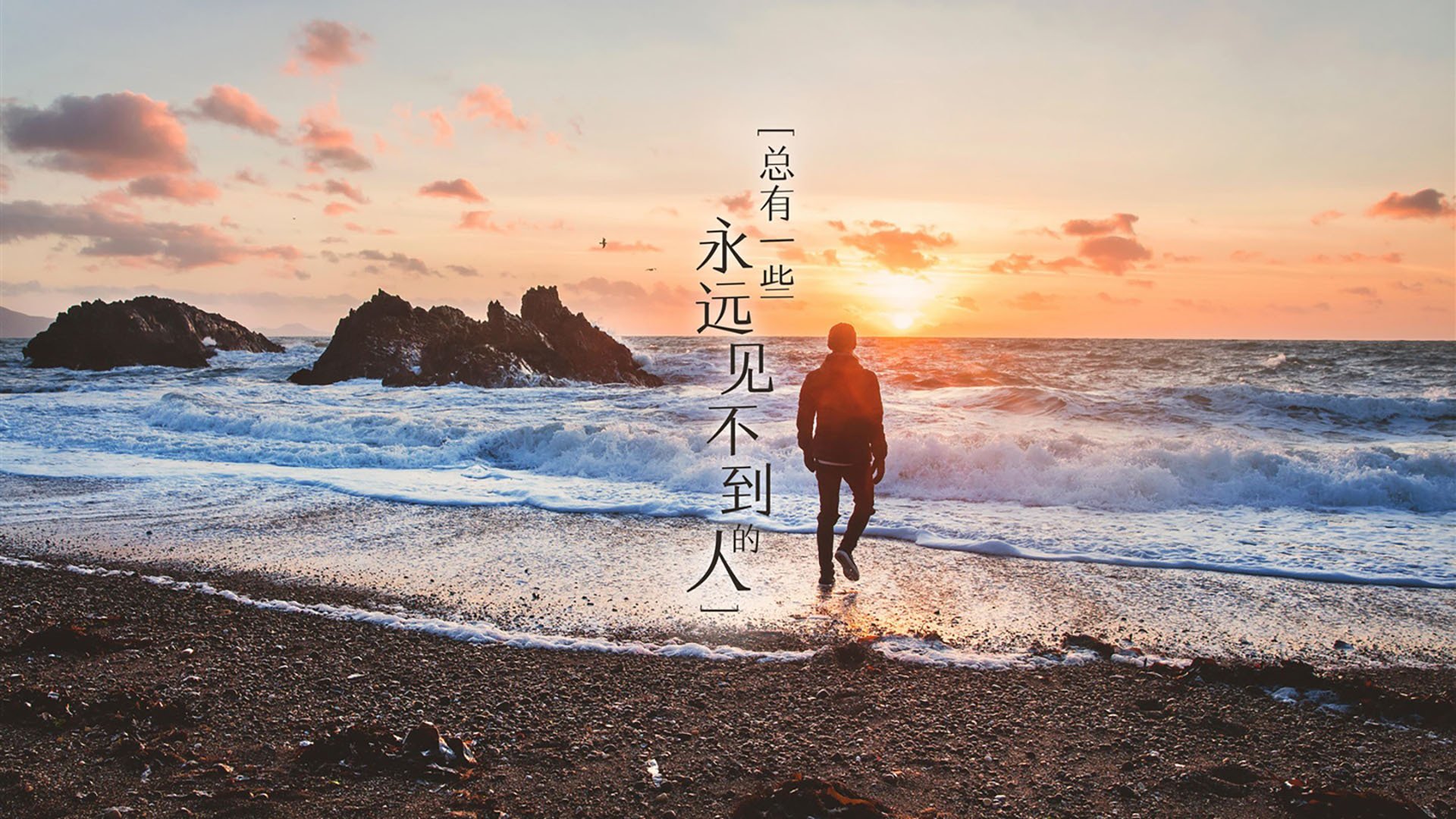 弗朗索瓦·霍尔茨豪伊泽:南非队的战术核心,快速反击与传球无缝对接